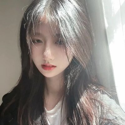 金毛喜迎冬