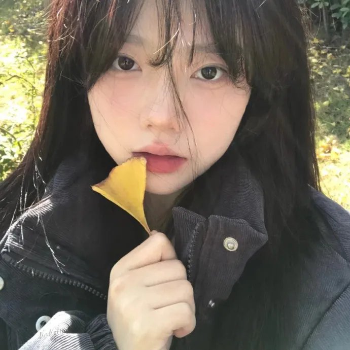 缘来圣诞